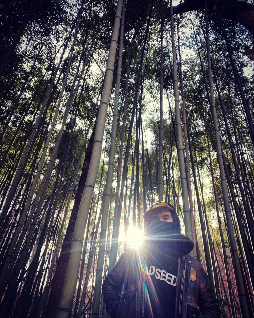 のインスタグラム：「live stream TODAY at 1500 eastern aka one hour; come hang, link in bio」