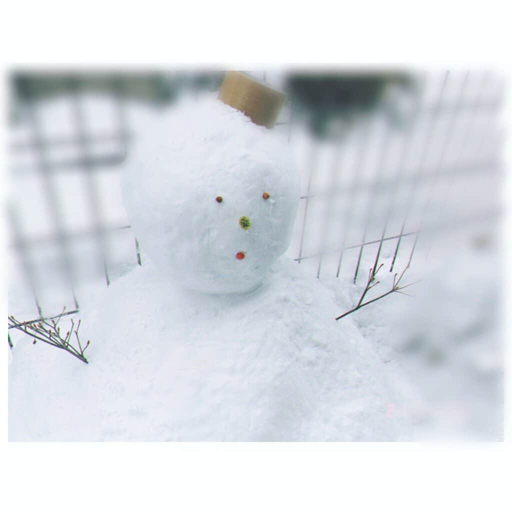 Nao☆ のインスタグラム：「今日雪かきのついでに作った雪だるマン☃️❄️」