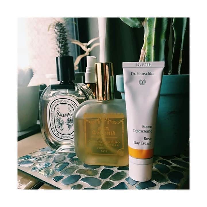 Dr. Hauschka Japan ドクターハウシュカのインスタグラム：「年明けの初の週末がやってきました。⁠ 1週間お疲れ様でした。⁠ .⁠ .⁠ ローズデイクリームは、⁠ Dr.ハウシュカの製品の中で一番初めに生まれた製品です。⁠ ブランド創業以来、ほとんど変わることのない⁠ 処方でみなさまのお肌を守り続けています。⁠ エタノールフリーで、敏感な方にもお使いいただけます。⁠ .⁠ .⁠ ローズの花びらのエキスやロウ、そして野生のローズヒップな、シアバター、アボカドオイルなどがヨーロッパの厳しい冬もお肌をしっかりと守ってきた製品です。フレッシュなローズやハーブの香りが、ケアをするたびほのかに香ります。⁠ .⁠ .⁠ #ドクターハウシュカ#Drハウシュカ#オーガニックコスメ#敏感肌#敏感肌スキンケア#敏感肌でも安心#敏感肌でも使える#敏感肌用#敏感肌コスメ#オーガニック#オーガニックコスメ好きな人と繋がりたい#オーガニック好きな人と繋がりたい#オーガニック化粧品#オーガニックスキンケア#オーガニック女子#オーガニックライフ#ナチュラルコスメ#ナチュラルな暮らし#丁寧な暮らし#スキンケア難民#スキンケア大事#スキンケア#スキンケア好きさんと繋がりたい#サステナブル#エタノールフリー#アルコールフリー#フェイスクリーム#ローズクリーム#保湿クリーム#ゆらぎ肌」