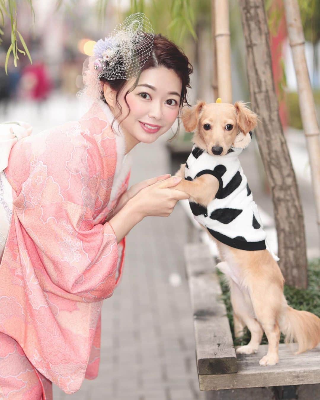 野田あず沙のインスタグラム：「🐕🎂﻿ ﻿ ﻿ ﻿ れいれ、もうすぐ一歳のお誕生日です♡﻿ ﻿ ﻿ ﻿ #チワックス #愛犬と撮影 #丑年 #着物 #浅草 #着物レンタル #kesatokyo #kesa #tokyo #asakusa #kimono #japan」