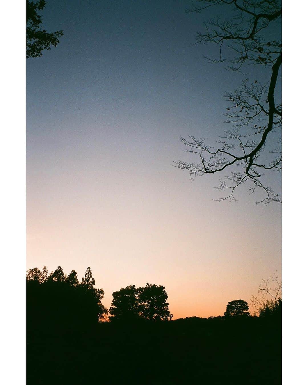 水上京香さんのインスタグラム写真 - (水上京香Instagram)「🎞 #film #ミナカミ写真展 今年もよろしくです♡」1月8日 20時11分 - kyokaminakami_official