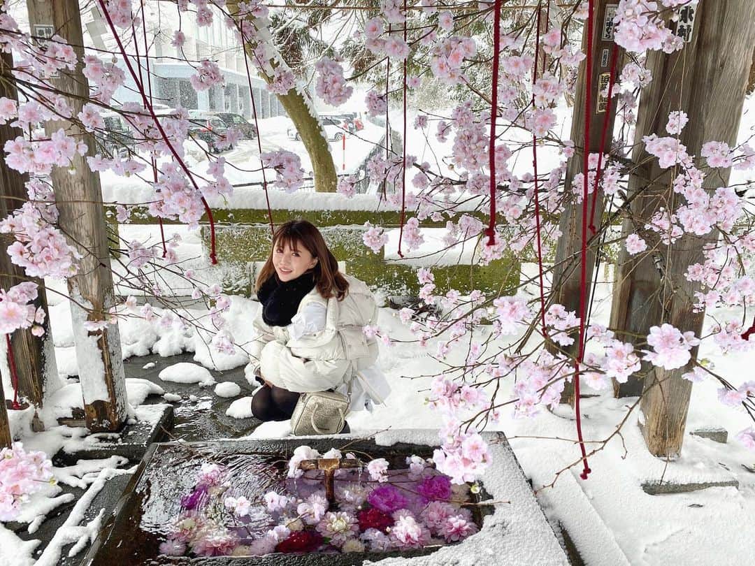 河西里音のインスタグラム：「初詣⛩✨ ラプンツェルみたいな空間🌸💓 幸運のうさぎ🐰‧✧̣̥̇‧✦‧✧̣̥̇‧✦‧✧̣̥̇‧ 3つ中1つだけ見つけたの🦋🌈✨ ♡ ♡ ♡ #山形県 #熊野大社 #初詣 #季節外れの桜 #希望 #新年 #flowers #japanesegirl  #japan_of_insta #winter #downcoat  #white」