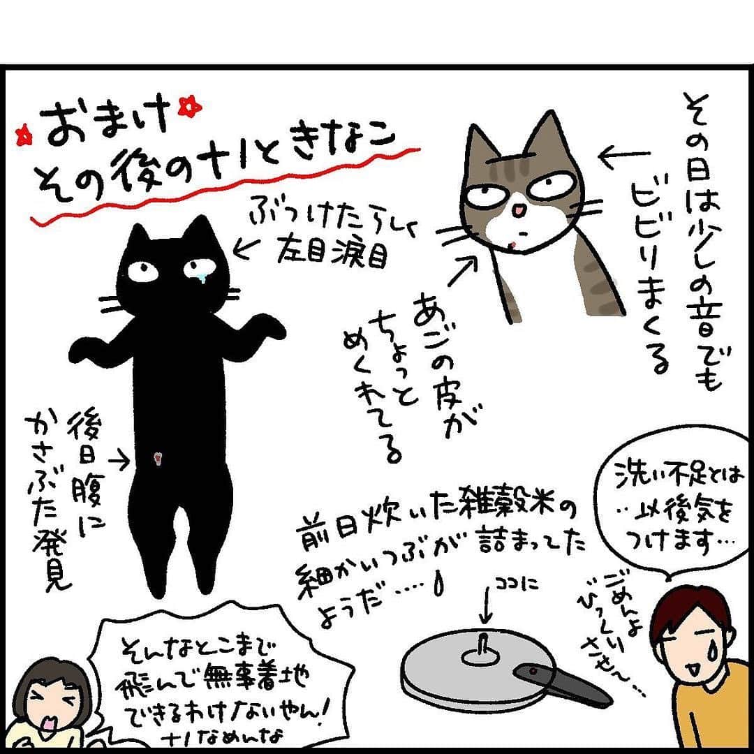 猫壱（ねこいち•ネコイチ）さんのインスタグラム写真 - (猫壱（ねこいち•ネコイチ）Instagram)「【#猫マンガ 】 ▫ びっくりしちゃう。だって、猫だもの ▫ ▫ #猫あるある ▫ :::::::::#猫壱 ::::::: 猫壱は猫と人との暮らしの向上を目指して猫グッズの開発に取り組んでいます♪ ▫ 気になる方は @necoichicojp をチェックしてみてくださいね！ ▫ ▫ 【Special thank-you @86palpal 💕💕💕💕】」1月8日 20時37分 - necoichicojp