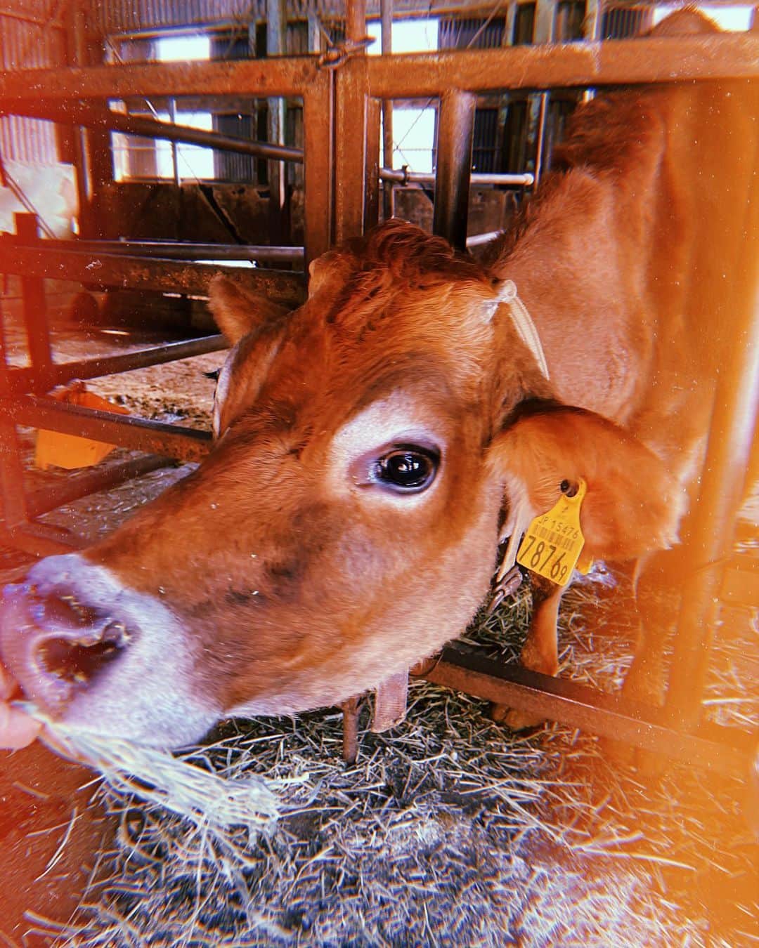 和田美枝のグルメインスタ