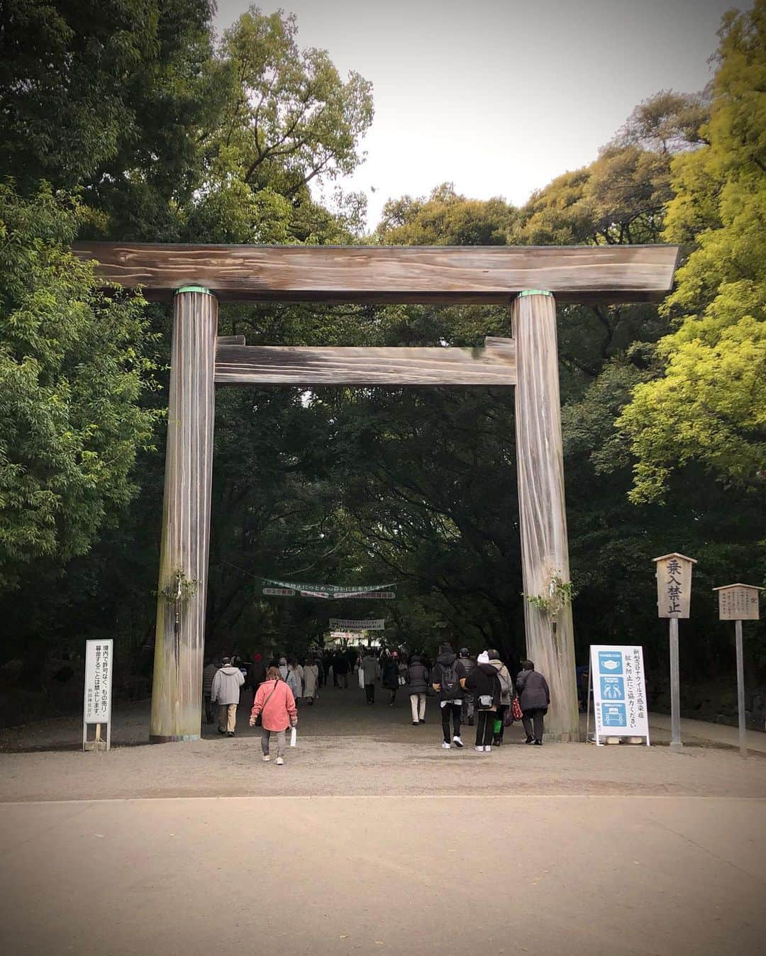 Manaさんのインスタグラム写真 - (ManaInstagram)「🐾⛩🎍 熱田神宮へ参拝に💕 . こんばんは😊 毎年恒例の熱田神宮✨ . 今年は辞めておこうかとも悩みましたが 空いていそうな時間を狙って行ってきましたよ🌸 . . . コーディネートは私にとっては 珍しい甘々コーデ☺️💗 ヘアセットも変えてみました♪ . マスクも @asagao.beauty さんの ふりふりマスクで甘さプラス！💐 . . . Tops：#uniqlo Skirt：#apuweiserriche Coat：#rienda Bag：#chanel . . . #熱田神宮 #熱田 #神社 #参拝 #お参り #お詣り #毎年恒例 #初詣 #あったかコーデ #冬コーデ #グリーンコーデ #コートコーデ #ファーコート #大人可愛い #大人コーデ #きれいめファッション #きれいめコーデ  #甘コーデ #甘々コーデ」1月8日 20時56分 - mana.tcy