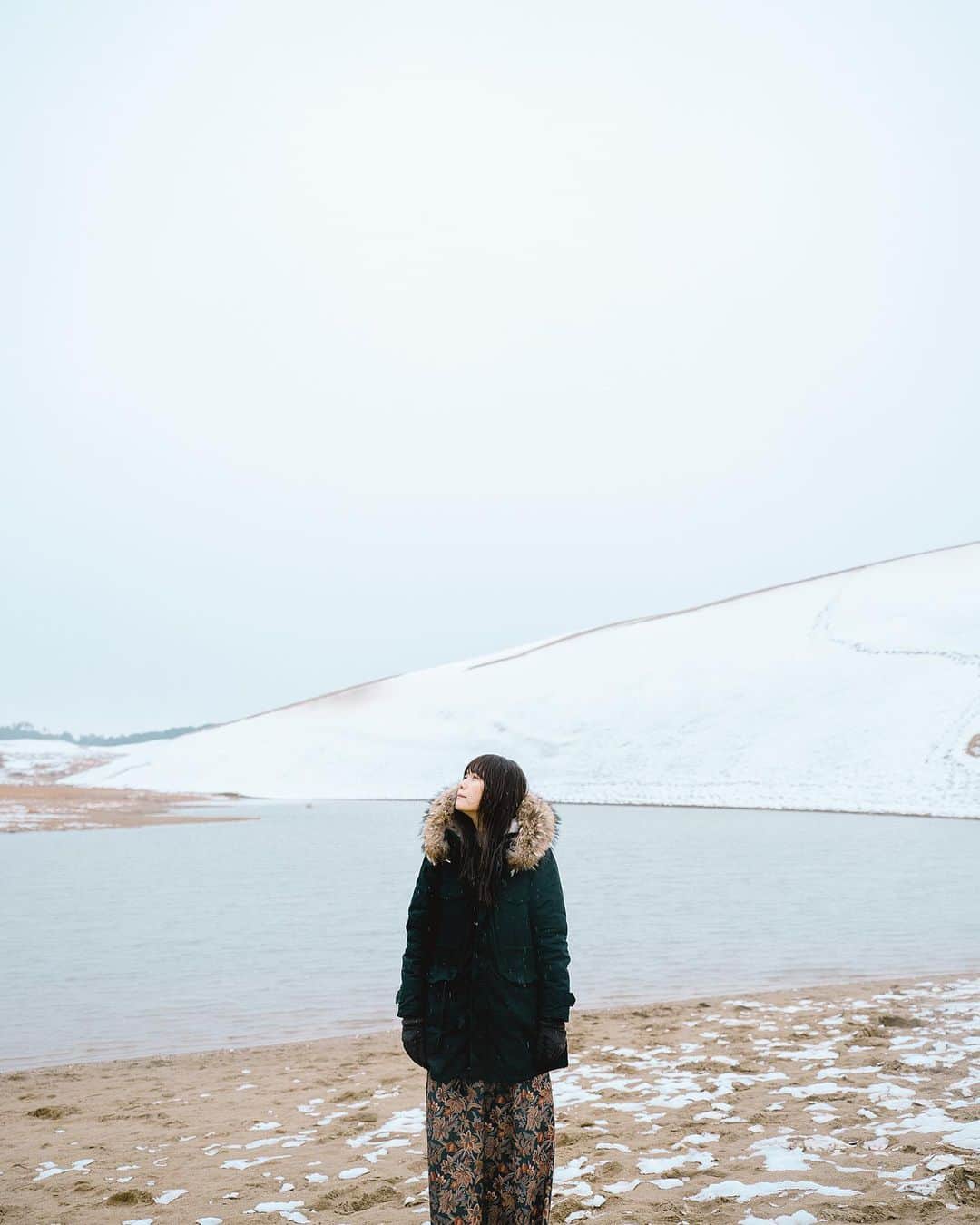 shinichi38のインスタグラム：「﻿ ﻿ Snow dunes 🐪❄️﻿ ﻿ ﻿」