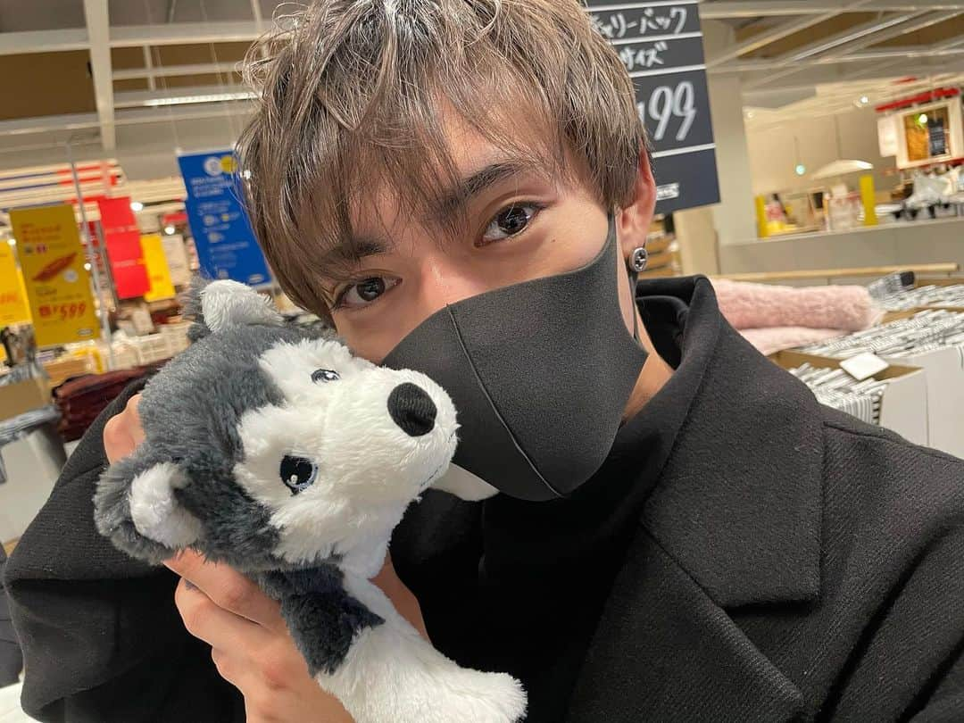 Uさんのインスタグラム写真 - (UInstagram)「新しいペットが増えました🐺 #ウルくん🖤」1月8日 21時06分 - u_antime_