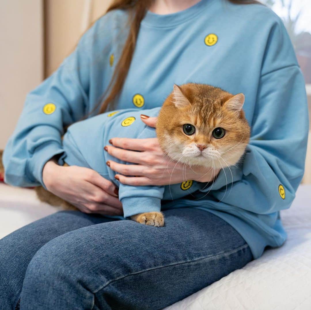 Hosicoさんのインスタグラム写真 - (HosicoInstagram)「How much do you love your pet? 🐱🐶🙋🏼‍♀️ Show the world how exclusive of you and pet with Petmumu™ @petmumu123 matching outfit! 💖 Use Code: HOSICO Get 20% OFF Your Order. https://petmumu.com」1月8日 21時22分 - hosico_cat