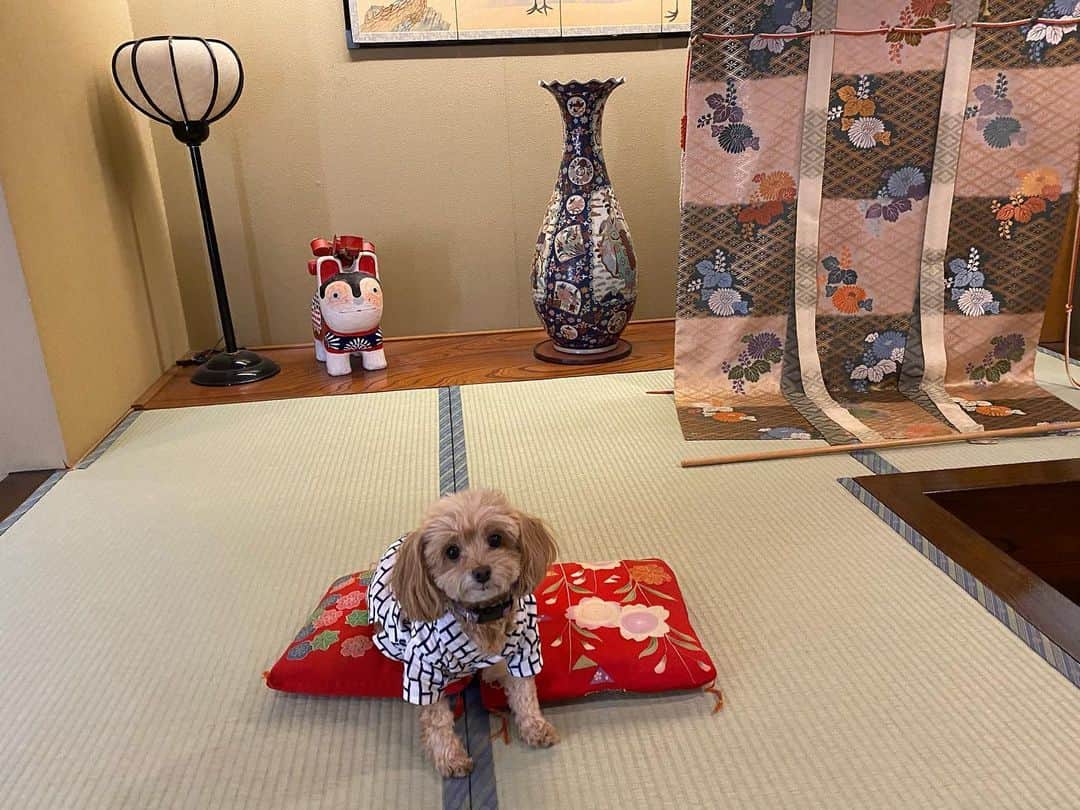 小森美果のインスタグラム：「どんな顔してもかわいい🥺」