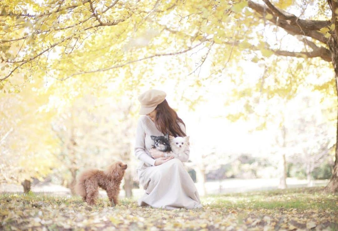 mamiのインスタグラム：「* 牛歩のように のんびりになってしまいましたが . 今年もお気に入りの親子picで 新年のご挨拶を。 . 相変わらずマイペースですが、 今年もどうぞよろしくお願いします♡ . . photo by @junka.moon.mako ♥ . . #オールドレンズ  #オールドレンズに恋をした #オールドレンズで繋がりたい #私が紡ぐ物語 #_lovely_weekend #whim_fluffy #ファインダー越しのわたしの世界 #写真好きな人と繋がりたい」