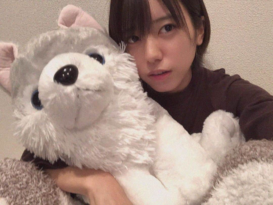 大西桃香さんのインスタグラム写真 - (大西桃香Instagram)「おうち時間が増えるね オオカミくん🐺 マイペースなりに頑張ってSNS投稿増やすぞ〜！ マイペースなりにね！！！(保険)  #もふもふ #オオカミくん #ズボンも #もふもふなんやで」1月8日 21時59分 - momo0920_official