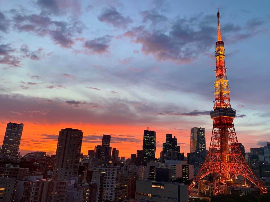 アシュリー千帆さんのインスタグラム写真 - (アシュリー千帆Instagram)「.  #tokyotower 🗼💕  スカイツリーも綺麗だけど、 東京タワーの赤い光が 見るたび、なんだかほっこりと 暖かくなるような感じがして好き☺️💕  見つけるたびに写真撮っちゃう📸  霜柱を踏んだことある人なら共感してくれるとおもうんだけど  ちょと演技でもないけど 自分がゴジラになって このビル踏んだら霜柱踏んだような感じなのかなってよく思ってた  🦖  .  #東京タワー　#🗼 #東京　#tokyo #夕焼け #夕日　#都会　#sunset #ゴジラ　#エステサロン経営　#エステサロンオーナー　#脱毛サロン経営」1月8日 21時53分 - ashli_ch