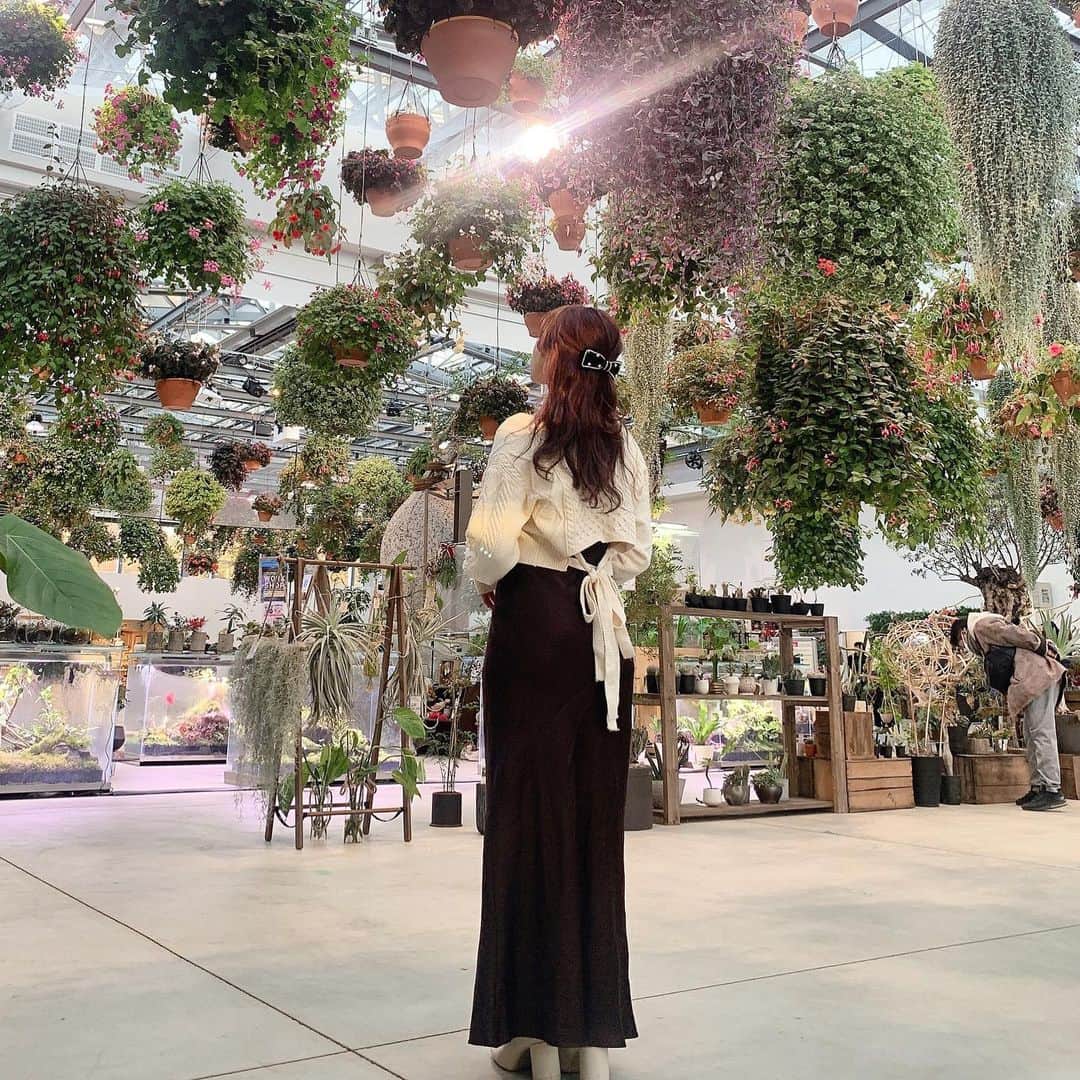 ののこのグルメインスタ