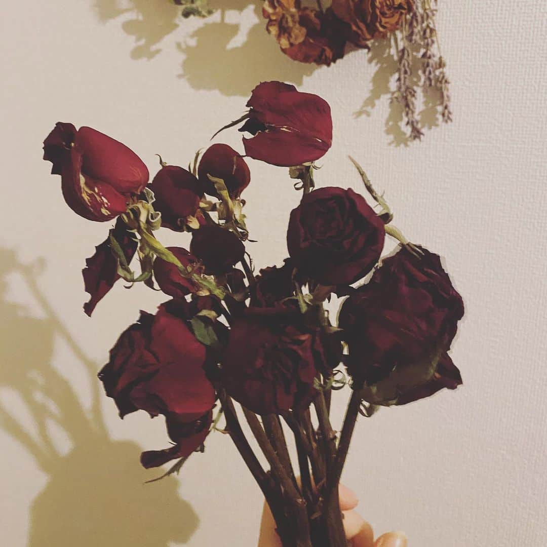 mikerr（ミカ）のインスタグラム：「🥀 大切な薔薇を4ヶ月干しておいたらこうなりました、良い保管方法教えてください。 、 #rose #dryflower #redroses #12」
