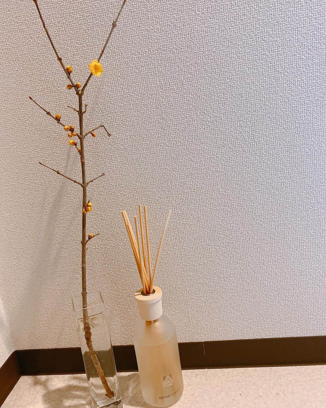 菅長愛子さんのインスタグラム写真 - (菅長愛子Instagram)「🌼🐶🏠  久しぶりのお花💐今回はイエローオレンジがポイントです💛🧡  次は桜の枝を買いたい。 今年はおうち花見になるかな~🌸 少しでも早くコロナが落ち着いて欲しいですね、、  らぶは予防接種がんばって、おもちゃをもらって。見事に気に入ってくれました🦒💛  おうち時間が増えてくる時に、おうちの居心地が良くなると尚良いですよね🧡  #2021 #お花のある暮らし  #お花 #ディフューザー #イソップ #aesop #stayhome  #おうち時間 #ステイホーム #ストレスフリー #おすすめの花教えてください」1月8日 22時16分 - aiko_suganaga