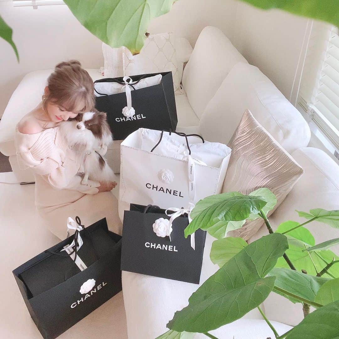 mycoのインスタグラム：「新年お迎えした子達です🎁💕﻿ 👛BAGはずっと到着を待っていました✈️﻿ これは日本に数個しか入ってこないと﻿ のことで予約してやっと会えました🤍﻿ キラキラでたまりません🤩﻿ ﻿ クッションは可愛いファータイプで﻿ 1個だと寂しいので2個お迎えしました🤍🖤﻿ ﻿ ぐぉぉぉ可愛い😍﻿ ﻿ ストッキングはずっと開けずにいました。﻿ なぜなら黒を持ってるんですが伝線するのが﻿ 怖くて…なかなか履けません🤣﻿ なので白も履かないでしょう🤣🤣🤣﻿ でも新年なので開封しました！﻿ 持ってるだけでキュンキュンしますね❤️﻿ 頑張って履かなくちゃ。﻿ ﻿ ﻿ お正月は1日半分くらい寝ていました。﻿ 年末も31日まで忙しかったので寝正月💤﻿ ﻿ ﻿ 世の中色々暗い話ばかりですが﻿ わたしは見方を変えて過ごしています。﻿ 一度きりのこの瞬間笑っていたいですね。﻿ ﻿ 今日もみなさんお疲れ様。﻿ 明日も一緒に生きていこうね！！  →右の写真に似てない？？植物の写り方🤣  #chanel #お年賀 #coordinate #fashion  #코디  #ootd #プレゼント」