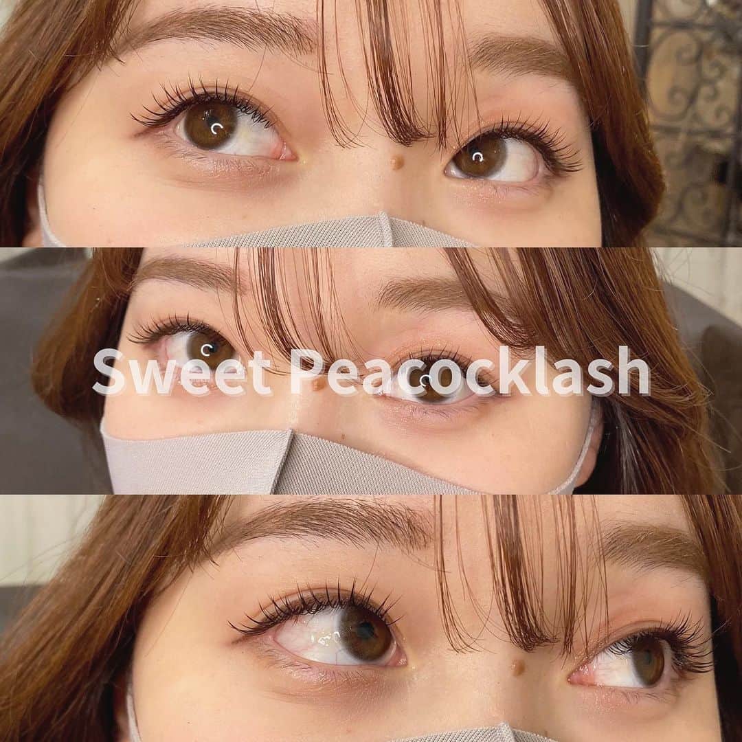 のインスタグラム：「#sweetpeacocklash  new デザイン💓 . ナチュラルで可愛いデザインを考案しましたので共有します♡ いつもの120本デザインとはまた違う可愛さです🥺 . ○いつものデザインに飽きた方 ○もっとナチュラルかわいいを目指したい方 ○これからマツエクをつけようと思ってる方 . ○まつげパーマに飽きてちょっと可愛さのチェンジをしたい方も♡ . . アイデザイナーの方にも是非学んでほしいデザインです💓 今年流行ること間違い無しです😏✨ . . 私のデザインを見たい方は #kaedeまつげ  で全て見れます💓 . .  #カラーマツエク #マツエクデザイン #マツエク #eyelash #アイデザイナー #オンラインサロン #高円寺 #高円寺マツエク#神戸#神戸マツエク #盛り#濃いめ #パッチリ#ボリューム#似合わせまつげ  #お悩み解決 #お悩み相談 #大阪マツエク #耳つぼジュエリー #耳つぼ #耳つぼダイエット　#耳つぼマッサージ #まつげパーマ #ラッシュリフト」