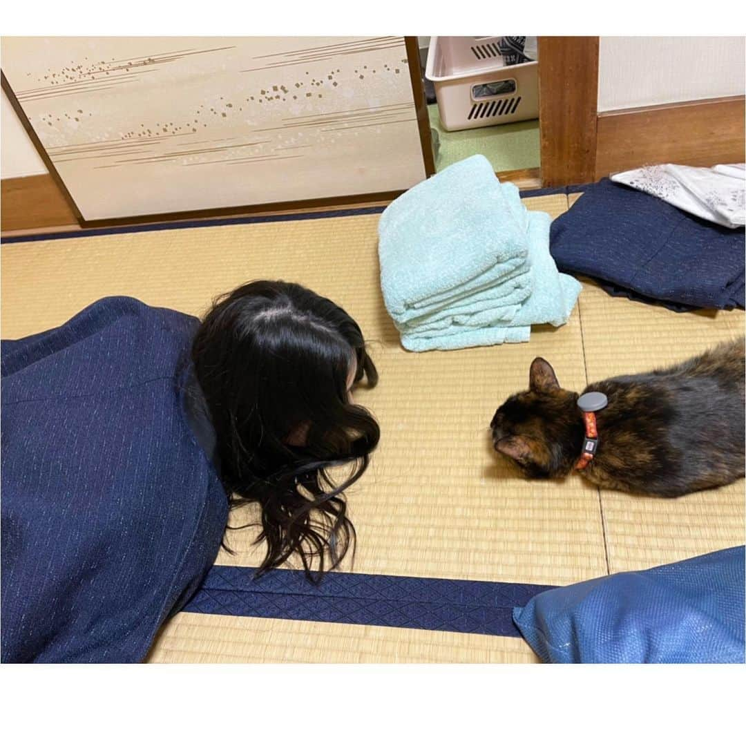 本庄鈴さんのインスタグラム写真 - (本庄鈴Instagram)「・ ・ 猫と一緒に暮らし始めたら きっと一日中こんな感じなんだろうなぁ ・ 🐈‍⬛🐾🐈🐾 ・ ・ ・ ・ #ねこ #すき #気まぐれ #ツンデレ #良き」1月8日 22時55分 - honjo_suzu