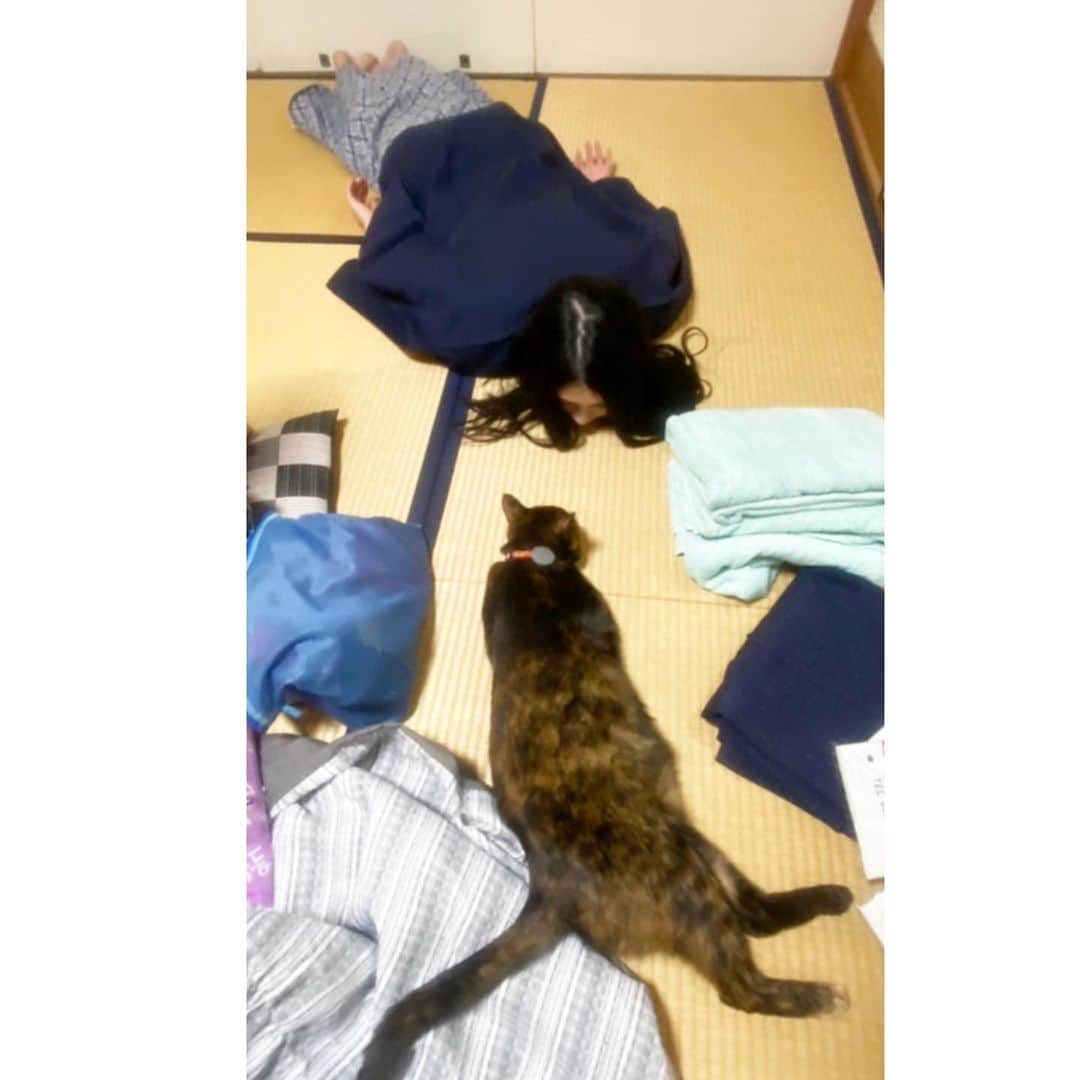 本庄鈴さんのインスタグラム写真 - (本庄鈴Instagram)「・ ・ 猫と一緒に暮らし始めたら きっと一日中こんな感じなんだろうなぁ ・ 🐈‍⬛🐾🐈🐾 ・ ・ ・ ・ #ねこ #すき #気まぐれ #ツンデレ #良き」1月8日 22時55分 - honjo_suzu