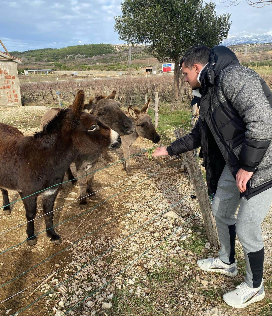 デヤン・ロヴレンのインスタグラム：「Some different kind of vacation, no problem. I like it.」