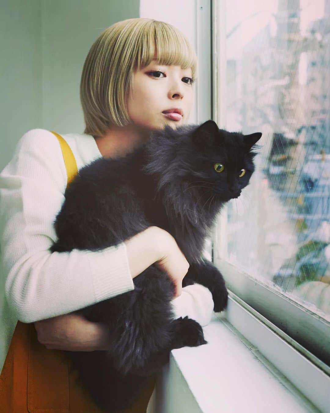 最上もがさんのインスタグラム写真 - (最上もがInstagram)「ねえ、嫉妬してる？ でもきみ、『ねこ』って雑誌の表紙もやるくらい 立派な猫なのだよ？ いわば猫界のスターなのだ。(言い過ぎた)  まっくろくろで、顔、 よくわからんときあるけど ずっとそばにいるよ。」1月8日 23時33分 - mogatanpe