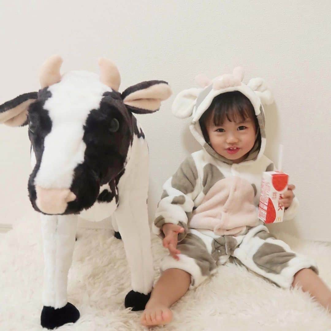 ままのてさんのインスタグラム写真 - (ままのてInstagram)「.⠀ 【ダブル牛さん🐄✨】⠀ .⠀ .⠀ #ままのて⠀ .⠀ 牛さんの横にコスプレをしたかわいい牛さんを発見😍⠀ 手にはミルクかな？😆💕⠀ かわいいです😊⠀ .⠀ #2歳1ヶ月⠀ #牛さん⠀ .⠀ .⠀ @mai_ichigo.019 様の投稿です。⠀ 素敵なお写真ありがとうございました💝⠀ .⠀ .⠀ 〈mamanote_officialのオリジナルキャンペーンへ参加しよう♡〉⠀ .⠀ お子様のかわいい動画、写真 ▶︎【 #ままのて 】⠀ @mamanote_official をフォローして、 投稿する動画や写真に合ったオリジナルハッシュタグをできるだけ多くつけて、インスタグラムにアップしてみましょう！⠀ .⠀ .⠀ 毎日、担当者が投稿をチェックして、素敵な写真と動画をピックアップして、公式アカウントで紹介します❤️⠀ .⠀ そして！！毎月、ハッシュタグごとに、@mamanote_official がピックアップした写真の中で1番｢いいね｣の多い方に、アマゾンギフト券3000円分プレゼント！当選者にはDMを送らせていただきます♡⠀ .⠀ また、動画や写真は、ままのてのFacebook、 またはウェブサイト 「ままのて」内の記事で紹介させていただきます🙌⠀ .⠀ .⠀ #赤ちゃん#ママタイム#ベビスタグラム#令和ベビー#プレゼント#キャンペーン#キッズモデル#モニター#ベビーモデル#新米ママ#成長記録#子育て#育児ママカメラ#ママ撮#スマイル育児#こどもと暮らす#子育て記録#育児記録 #お出かけ#親バカ部#赤ちゃんのいる生活#牛#牛柄#赤ちゃんコスプレ#丑年#baby」1月8日 23時35分 - mamanote_official