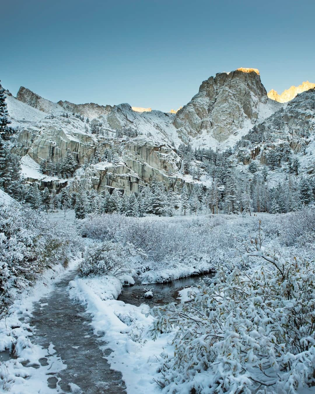 アメリカ内務省さんのインスタグラム写真 - (アメリカ内務省Instagram)「Interior isn't the only department with spectacular #PublicLands. The brown granite landscape of Inyo National Forest's Trail Camp in #California transformed after a nighttime snowstorm. The winter scene would only last a few hours as the rising morning sun crept down the towering granite walls, completely melting the snow away. Photo of (@u.s.forestservice) by Michael Yuen (@msyuen) (ShareTheExperience.org).」1月9日 0時00分 - usinterior