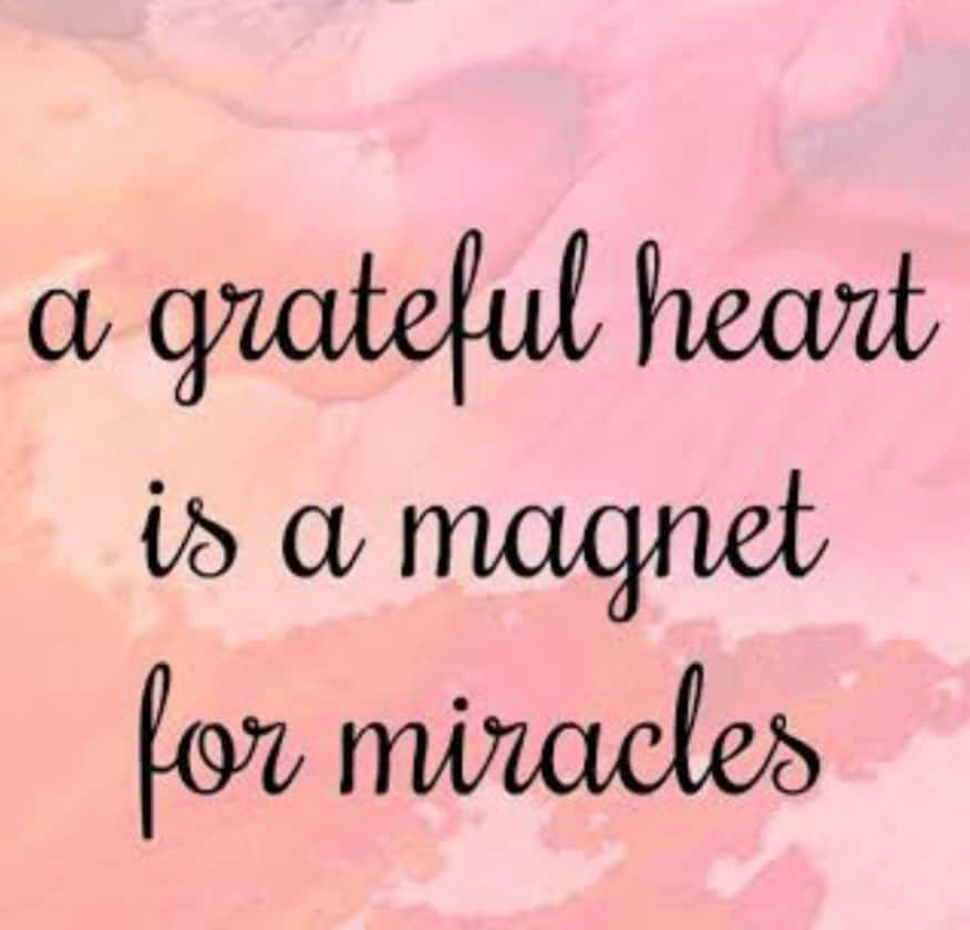 ビパシャ・バスーさんのインスタグラム写真 - (ビパシャ・バスーInstagram)「My core is made of Gratitude . And I believe in Miracles 🙏 #gratitude  #miracles  #lovelife #lovelove」1月9日 0時18分 - bipashabasu