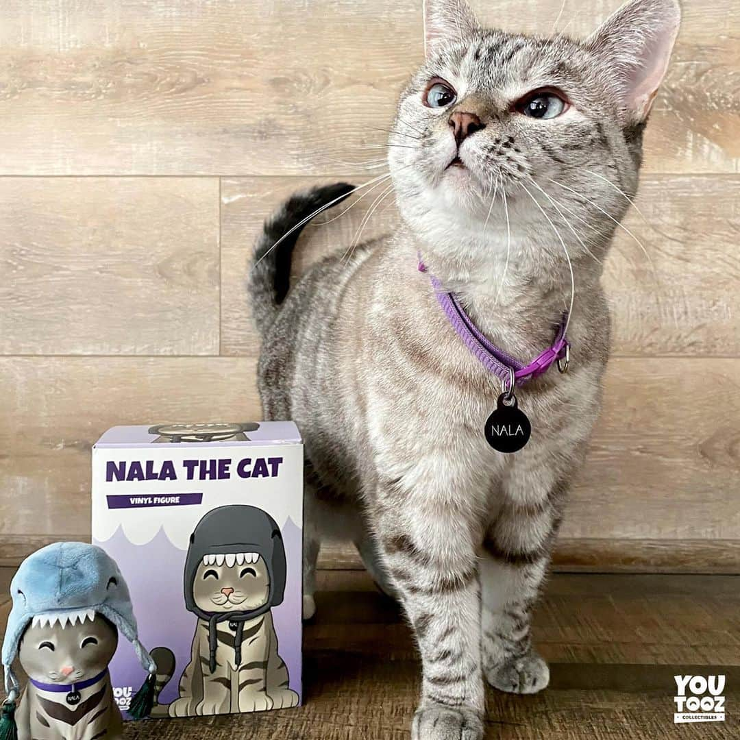 nala_catさんのインスタグラム写真 - (nala_catInstagram)「Comment '😻' and follow @youtooz for a chance to win one of My new limited edition youtooz. We'll pick a few winners before the release on Jan 12th! Open worldwide 🌎」1月9日 0時41分 - nala_cat