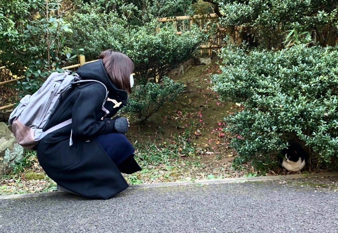 田中瞳さんのインスタグラム写真 - (田中瞳Instagram)「. いつかの写真🐈‍⬛ ただしばらく見つめ合ってお別れしました。  この子のようにジッと過ごす日々になりそうですね。 楽しみ方は無限にありますし、 たまには何もしないというのも気持ちが良いですよね🏠」1月9日 0時58分 - hitomi_tanaka_9