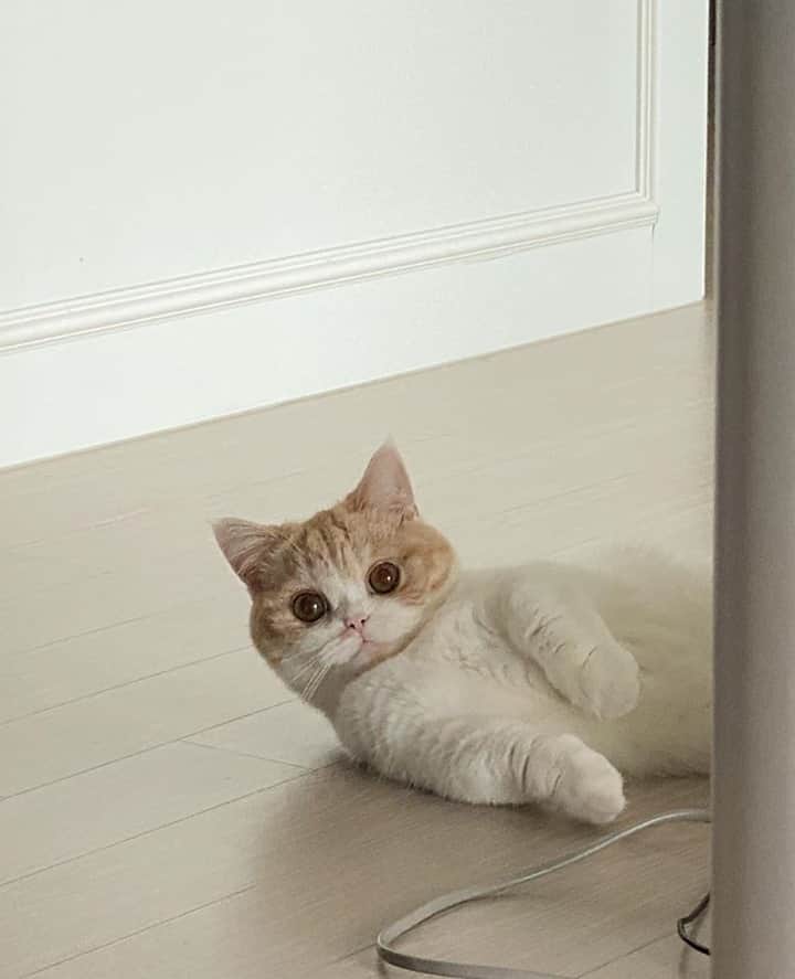 のインスタグラム：「Vous avez dit week-end ? Présent !⁠ --⁠ Did I hear weekend? Yes please!」