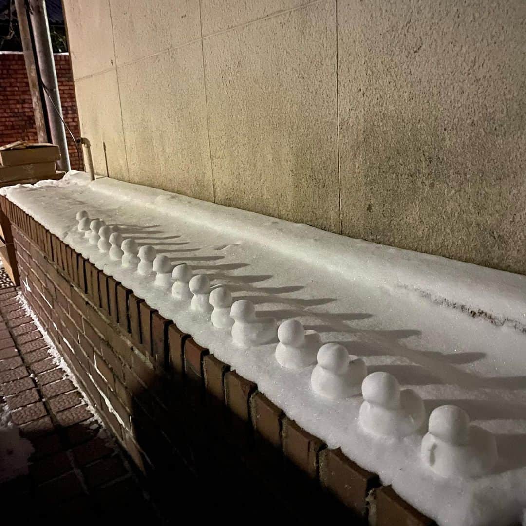 チ・ミンヒョクのインスタグラム：「이쁜이들⛄️🐤」