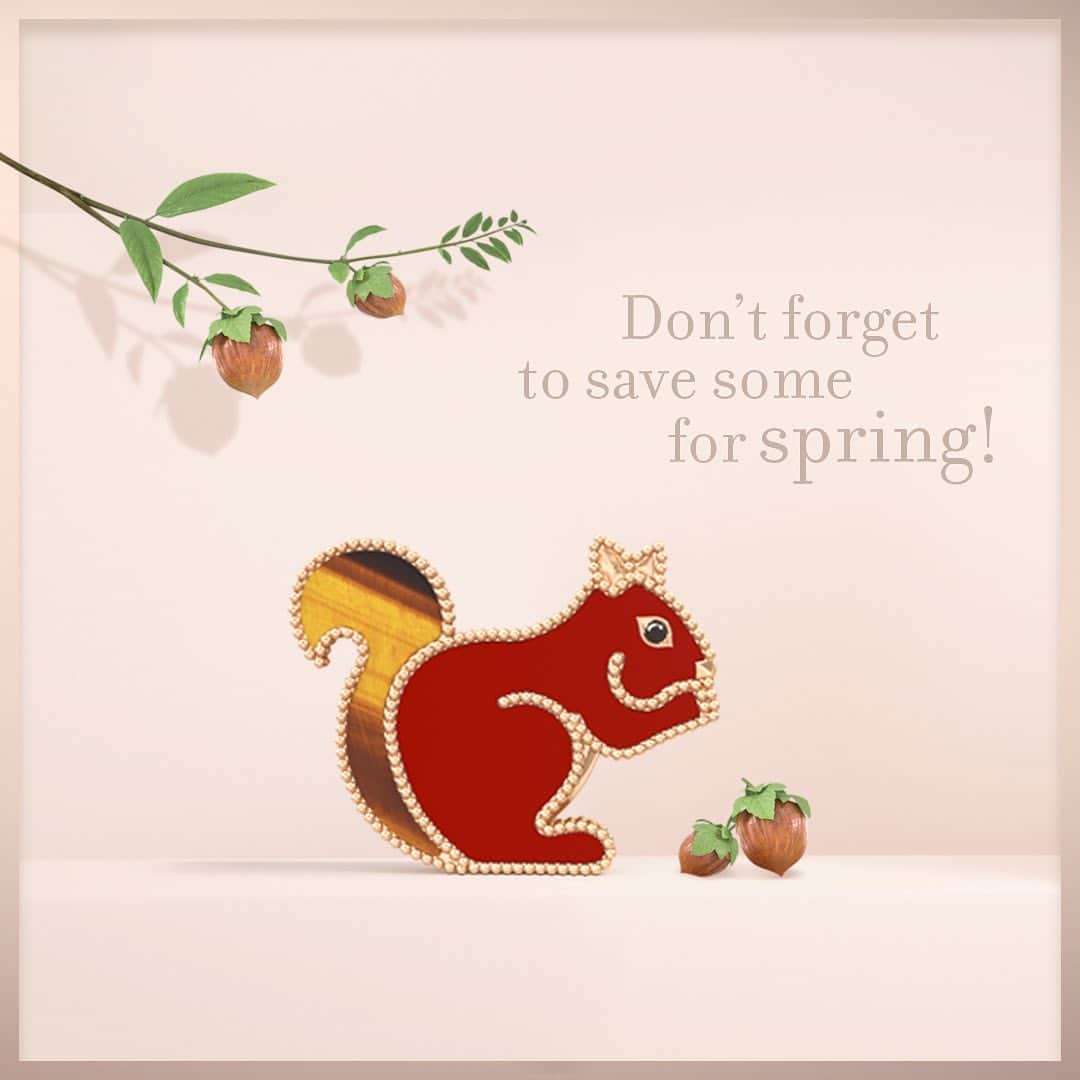 ヴァンクリーフ&アーペルさんのインスタグラム写真 - (ヴァンクリーフ&アーペルInstagram)「Celebrate the New Year to your heart’s content. Will you be greedy as the Pig or cautious as the Squirrel? Discover the unique personalities of the Lucky Animals creations. 🐖 🐿 #VCAluckyanimals #VanCleefArpels」1月9日 1時22分 - vancleefarpels
