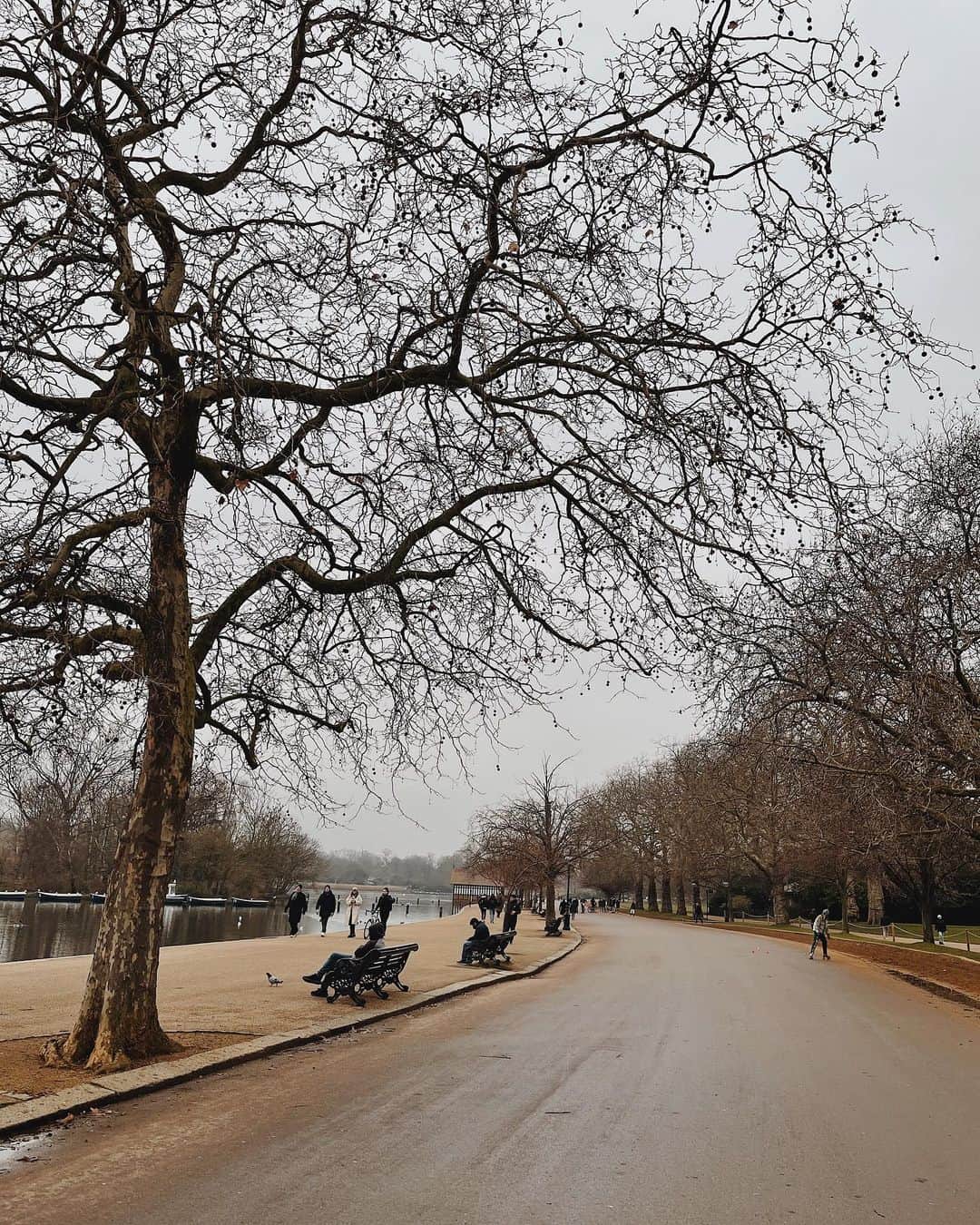 @LONDON | TAG #THISISLONDONさんのインスタグラム写真 - (@LONDON | TAG #THISISLONDONInstagram)「Quiet walk in #HydePark on a very very grey day! ☁️ 1C and foggy! 🥶// 📸 @mrlondon  ___________________________________________  #thisislondon #lovelondon #london #londra #londonlife #londres #uk #visitlondon #british #🇬🇧 #londonparks」1月9日 2時39分 - london