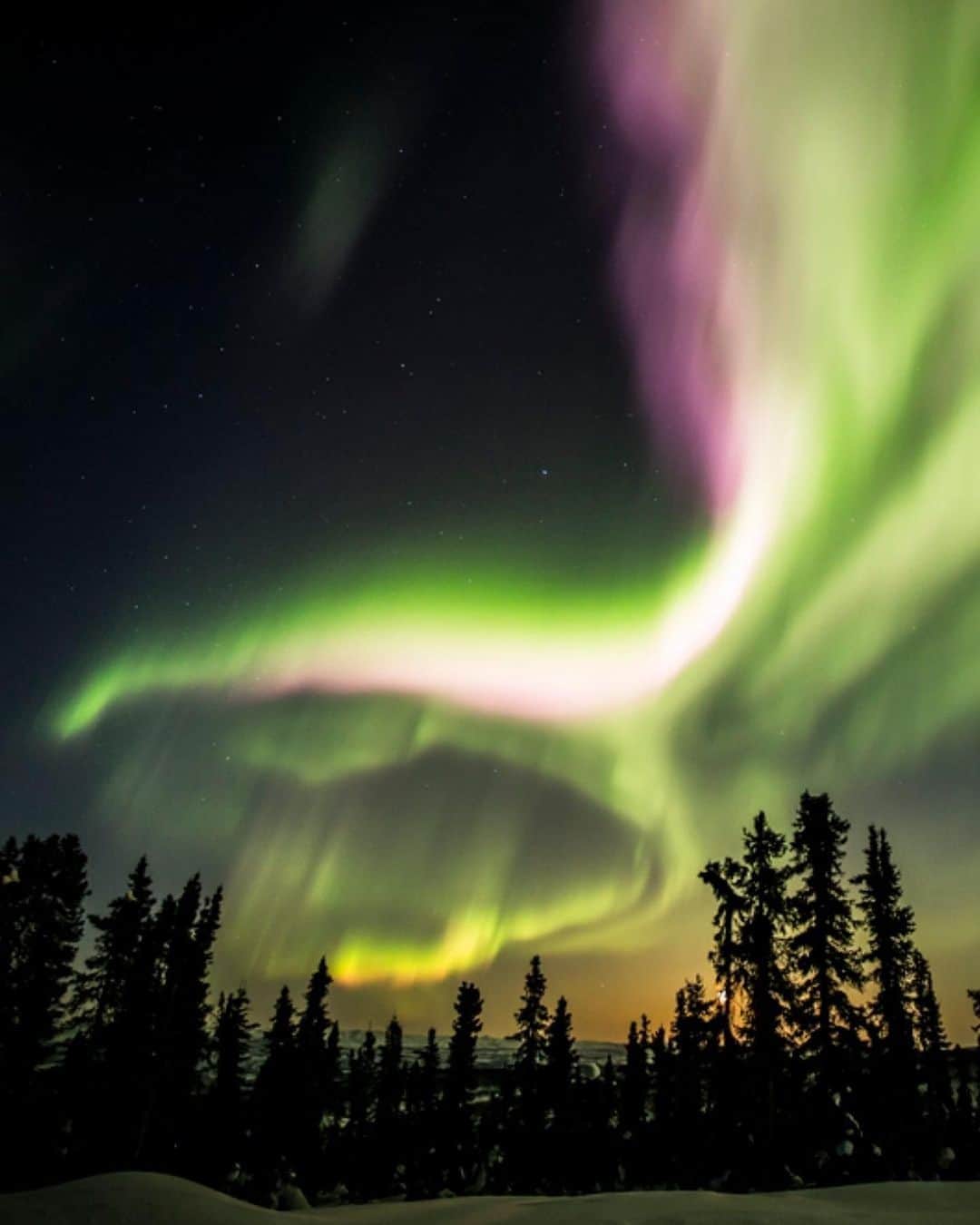 Explore Canadaのインスタグラム：「You spoke and we listened! Inspired by what you wanted to learn more about, this week's #CanadaSpotlight touches on one of Canada’s most famous natural wonders, the Northern Lights.⁠⠀ ⁠⠀ Mesmerizing and utterly surreal Canada’s vibrant Northern Lights often hold a special place in the hearts of those who have had the chance to catch a glimpse of this natural phenomenon. While the Northern Lights can be seen almost anywhere in Canada and during all seasons, optimal viewing conditions are during the winter months. Here is a run down of Northern Lights watching in our three territories:⁠⠀ ⁠⠀ - The Northwest Territories⁠⠀ ⁠⠀ One of the best places in Canada to see the Northern Lights, the Northwest Territories offers unparalleled viewing possibilities. It’s here that you have an exceptionally high potential of seeing the lights as they are generally visible 240 nights a year. On top of this, the Northwest Territories offers top notch experiences, immersing you in pristine nature, and Indigenous culture and heritage. ⁠⠀ ⁠⠀ - Yukon⁠⠀ ⁠⠀ An adventure-seekers paradise, the Yukon boasts dynamic landscapes that are teeming with iconic Canadian wildlife. Here, there are some amazing ways to see the Northern Lights with minimal light pollution, while offering up some very cozy rustic cabins or prospector-style tents to bundle up in after your adventure. ⁠⠀ ⁠⠀ - Nunavut⁠⠀ ⁠⠀ Warm-hearted locals and terrific Northern Lights viewing conditions await you in Canada’s most northern territory, Nunavut. What makes Nunavut an amazing place to see the aurora is its high northern latitude that provides as much as 20 hours of darkness in December.⁠⠀ ⁠⠀ #ExploreCanada #CanadaNice⁠⠀ ⁠⠀ *Know before you go! Check the most up-to-date travel restrictions and border closures before planning your trip and if you're travelling in Canada, download the COVID Alert app to your mobile device.*⁠⠀ ⁠⠀ 📷: ⁠⠀ @explorecanada⁠⠀ @michalgoga⁠⠀ @auroravillageca⁠⠀ @martinagebarovska @blachford_ll⁠⠀ @austin.mackay⁠⠀ @travelalberta⁠⠀ ⁠⠀ 📍: ⁠⠀ @travelyukon⁠⠀ @destinationnunavut⁠⠀ @spectacularnwt⁠⠀ @spectacularnwt⁠⠀ @travelmanitoba⁠⠀ @travelalberta⁠」