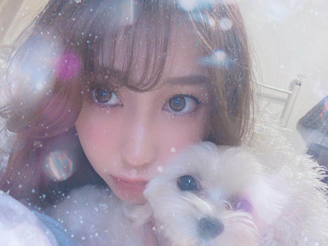 田辺音羽のインスタグラム：「大好きなふわもこさん🐩🤍 おやすみ💤☺︎ #dogstagram」