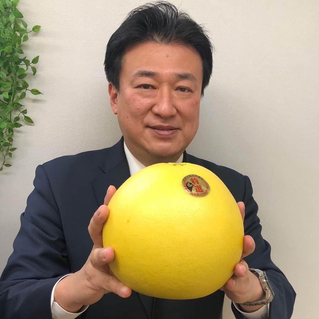 木原稔さんのインスタグラム写真 - (木原稔Instagram)「八代産晩白柚（バンペイユ） 食べ頃になったのでいただきます！」1月9日 14時15分 - kiharaminoru