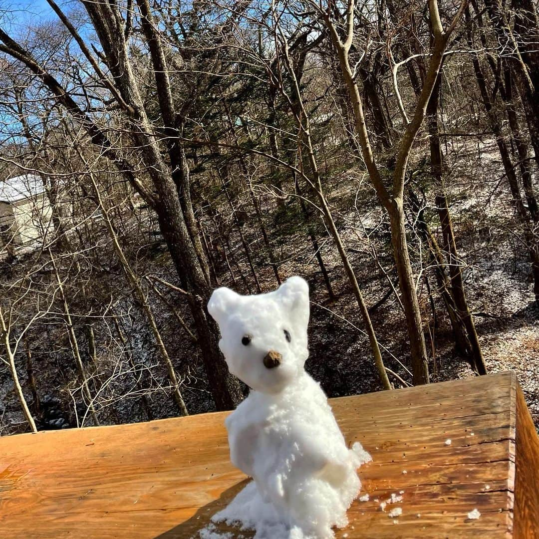 高橋幸宏さんのインスタグラム写真 - (高橋幸宏Instagram)「今日は青空、ひざしをあびて、雪ワンピンチ、頑張れ！ こらえて、たえてね。  #melt   #ゆきわんこ」1月9日 13時27分 - room66_yukihiro