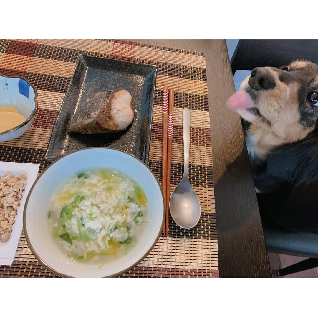 高原愛のインスタグラム：「最近はまっているお粥🍚😋お粥にはカブの葉と三つ葉、今日はオリーブオイルと天然塩をトッピングしてみたら、すごく美味しい‼️少し洋風になって食べやすくて美味しかった🤩 鰤の塩焼きと納豆、沢庵🍽時間がない日の軽めのお昼になりました🐟🐠🐡  #簡単おうちごはん#おうちごはん#デリスタグラム#ランチ#和食#納豆#発酵食品#おかゆ#オリーブオイル#😋」