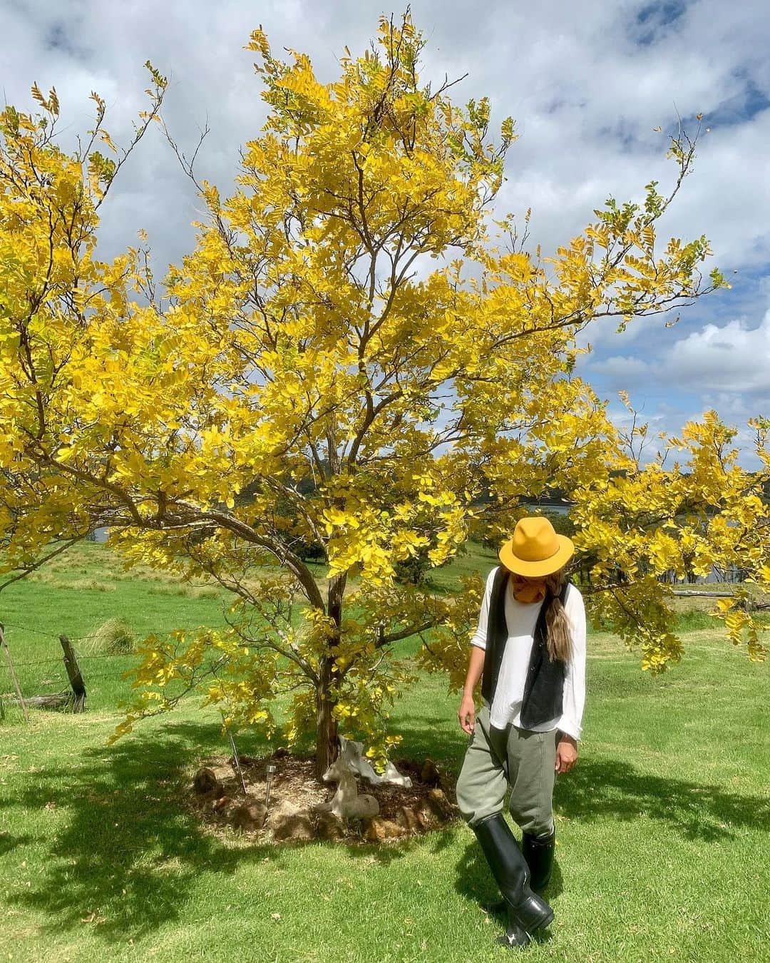 シャーニ・ヴィンソンのインスタグラム：「Mustard tart 💛 #farmgirl #backback #countrylife #countrystyle #thefarm」