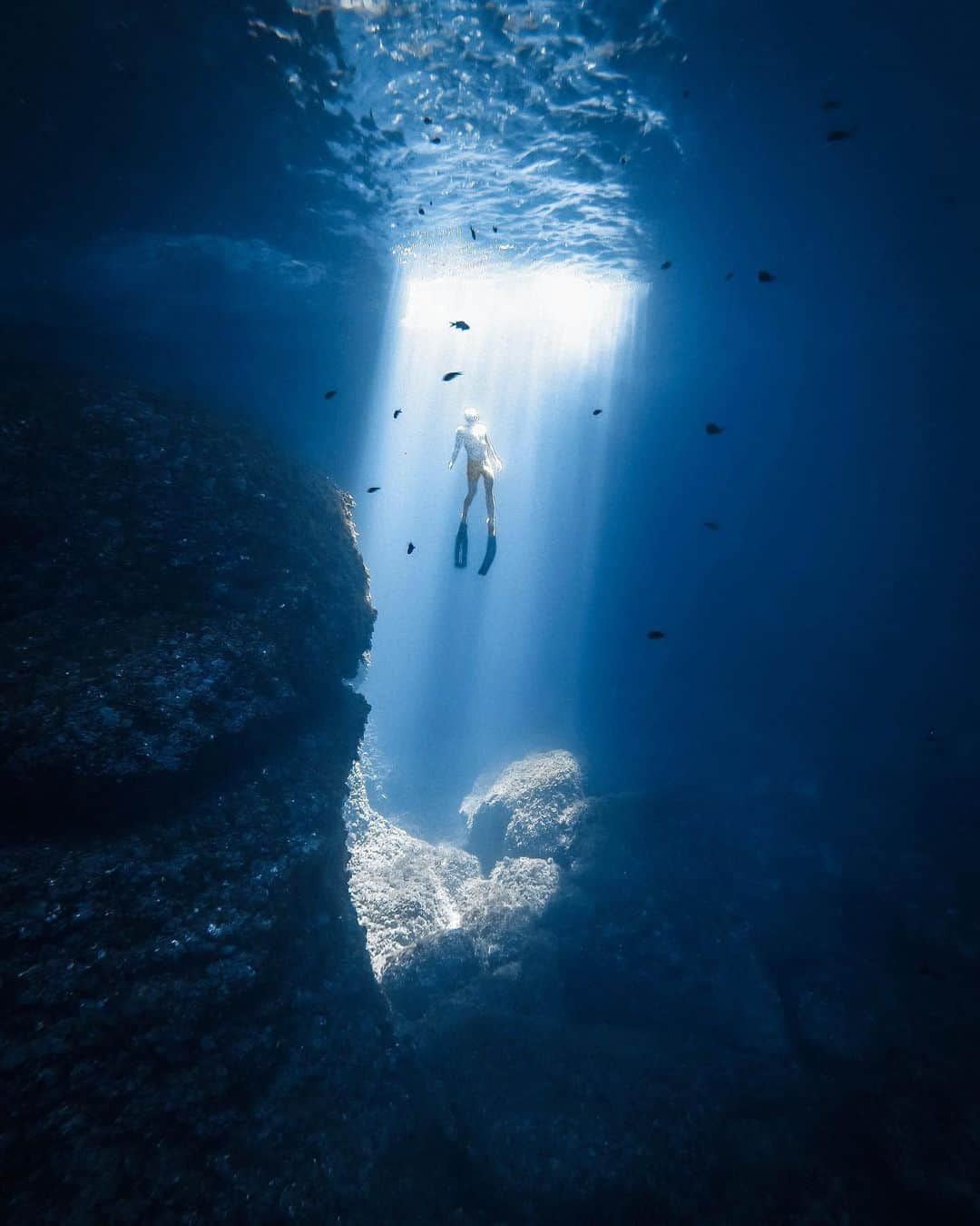 goproさんのインスタグラム写真 - (goproInstagram)「Photo of the Day: Aqua abduction 🤿🛸 #GoProFamily members @willy_foxx + @danflorit.  ⠀⠀⠀⠀⠀⠀⠀⠀⠀ Take #GoProHERO9 Black on your underwater missions—its waterproof to 33ft (10m) right out of the box 📷 ⠀⠀⠀⠀⠀⠀⠀⠀⠀ @goproes #GoProES #GoPro #FreeDiving #UnderwaterPhotography」1月9日 5時13分 - gopro