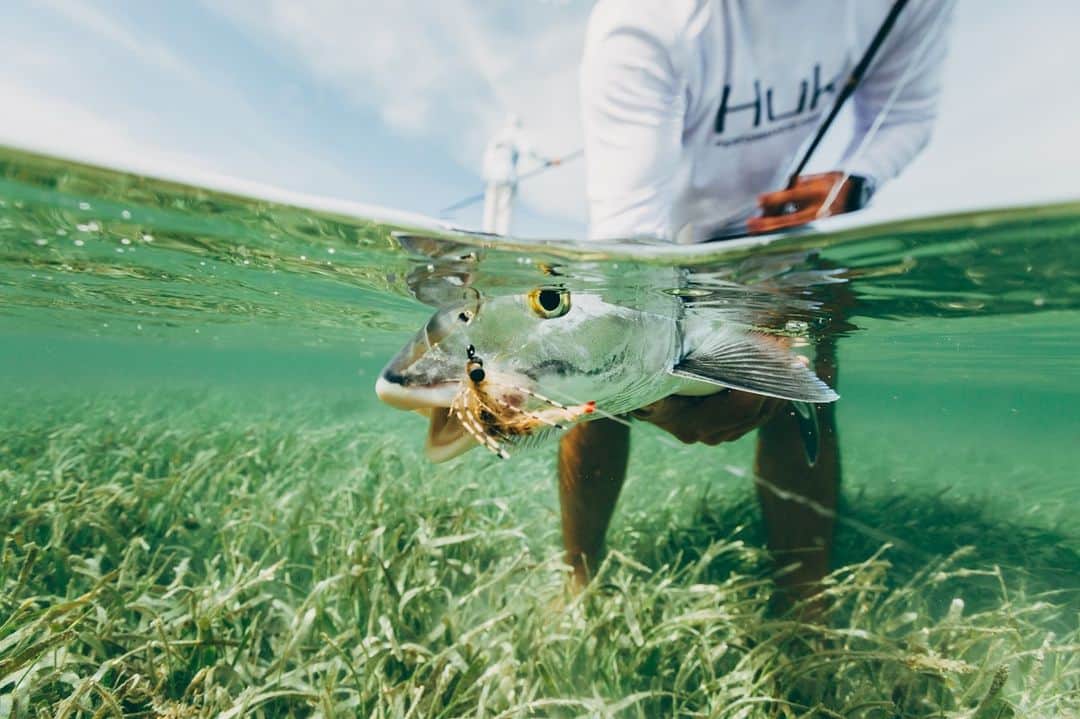 Costa Sunglassesのインスタグラム：「Gin clear catch in the skinny. 📷: @austincoit #SeeWhatsOutThere #BornOnTheWater」