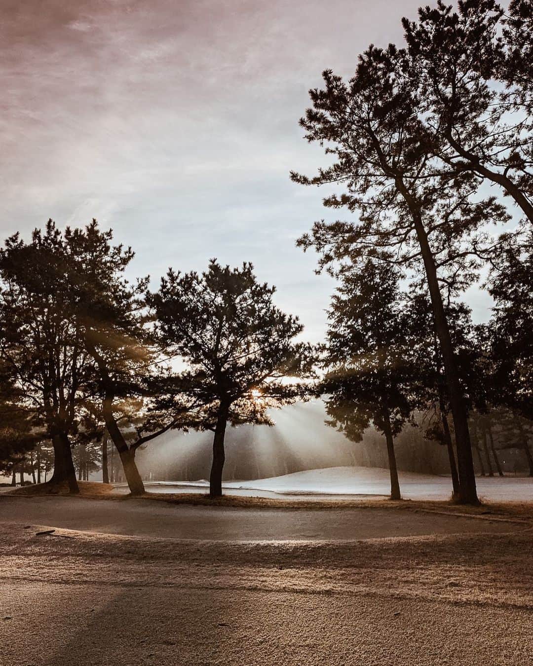 福井仁美さんのインスタグラム写真 - (福井仁美Instagram)「Morning glory 🤎 週末は早起きして気持ちいい朝  #morning #golf  #pixelで撮影 #teampixel #Googleのスマホ」1月9日 7時42分 - hitton28