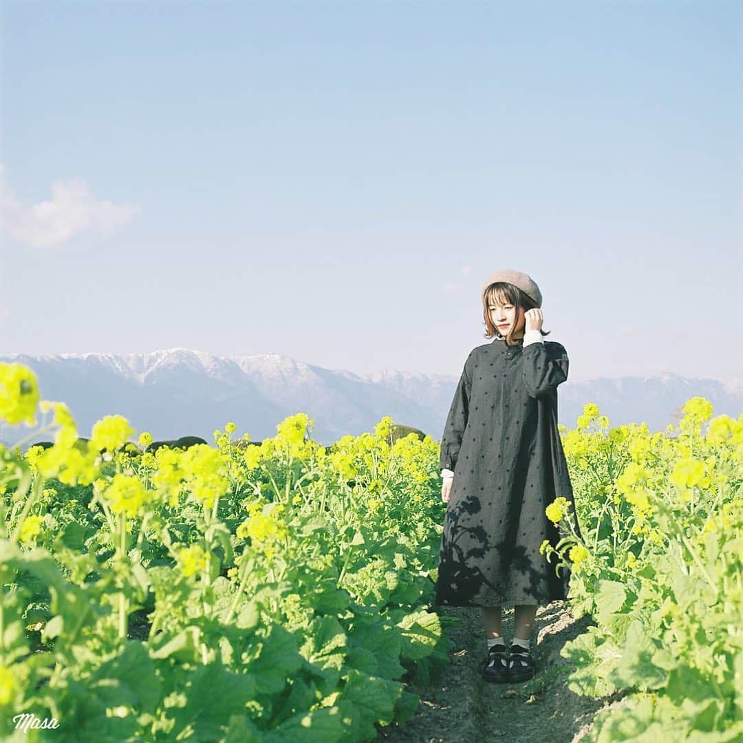 のインスタグラム：「. . . 久しぶりに予定がぎっしり埋まってましたが、今週は状況を鑑みて断念🥺 . . コメクロで🚪 . 撮影日 : 2020年12月22日 . #まっセル #エビプリ #hasselblad #ハッセルブラッド#instagramjapan #igersjp #tokyocameraclub #team_jp_  #art_of_japan_ #photogenic_jp #GPW_members_only #good_portraits_world #film_jp #film #フィルム #film_com #filmcamera #filmphotography #portrait #ポートレート #photogram_archive #todays_blue_collection #team_jp_ #shiga #滋賀 #何気ない瞬間を残したい #jp_portrait部 #菜の花 #第1なぎさ公園 #守山」