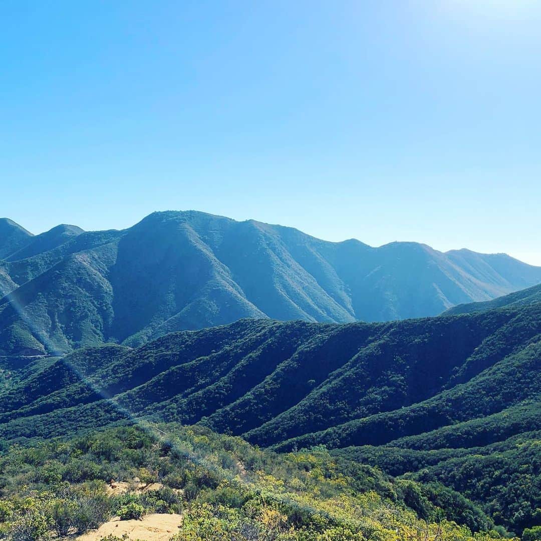 アレックス・ブノワのインスタグラム：「Beautiful day hiking up to SugarLoaf peak today! So lucky to drive 30min to be outside and still only see 3 people and 1 dog!」