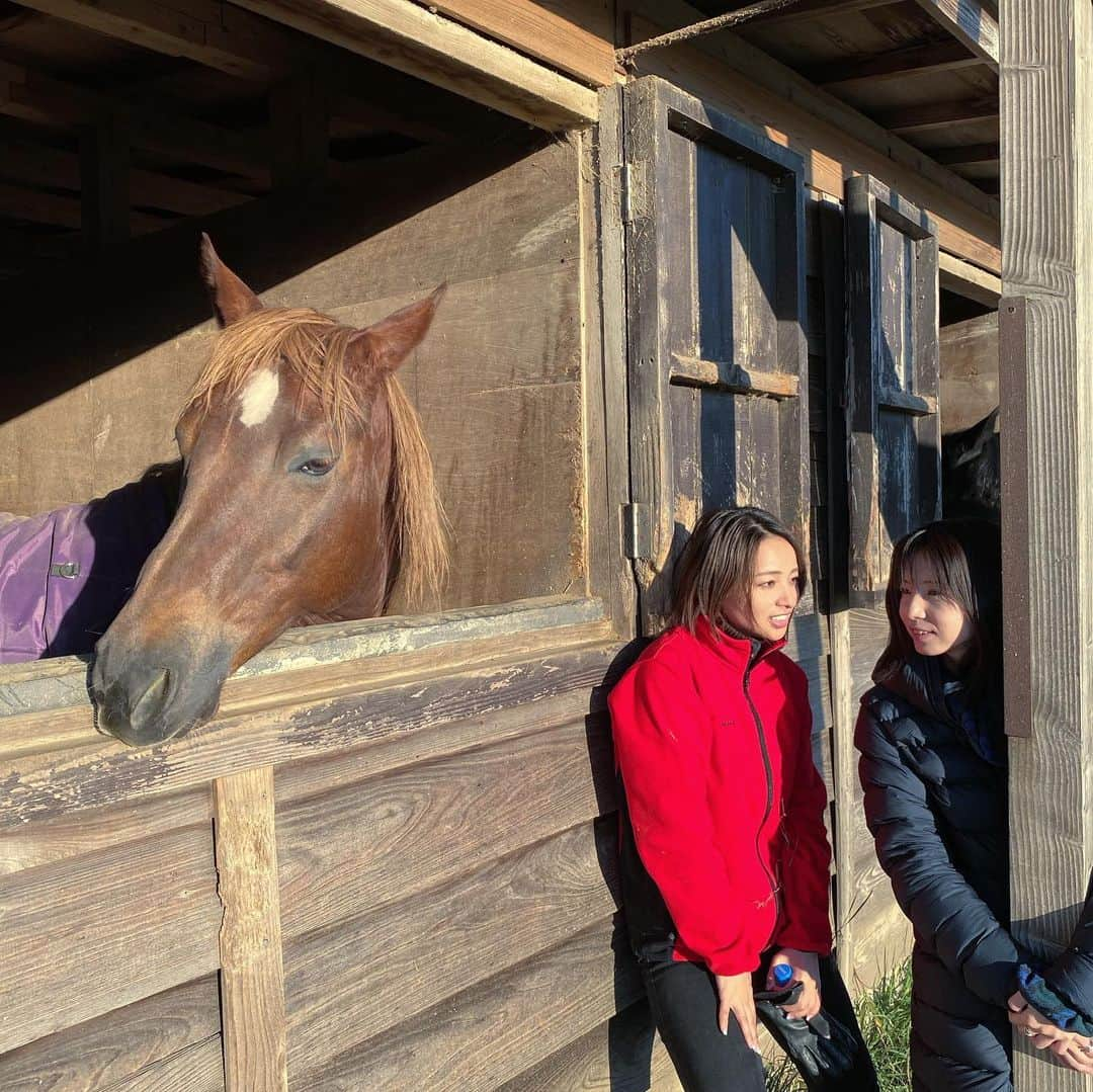 水崎綾女さんのインスタグラム写真 - (水崎綾女Instagram)「草どうぞ。🐴」1月9日 9時18分 - misakiayame