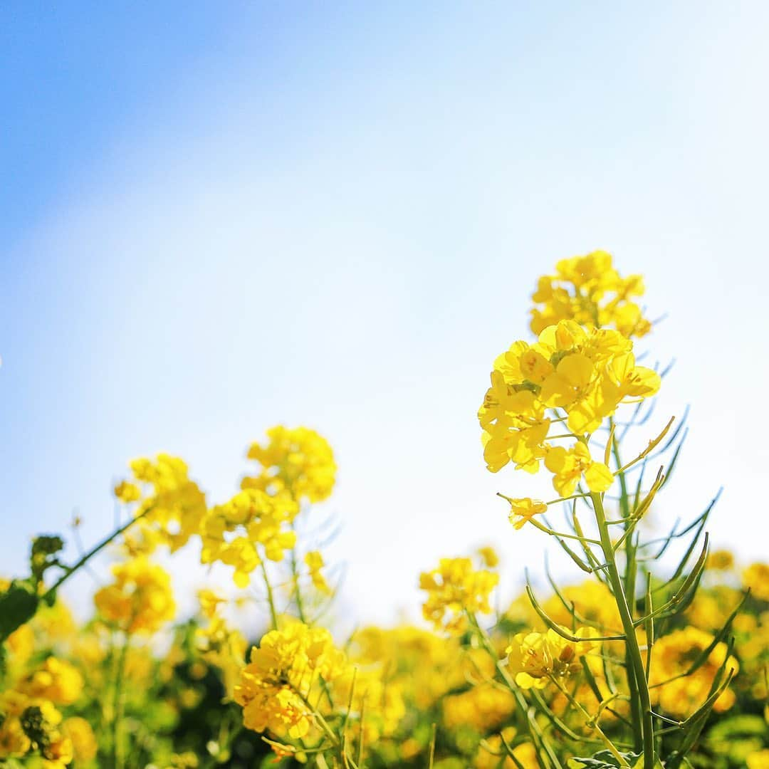 愛知県田原市のインスタグラム