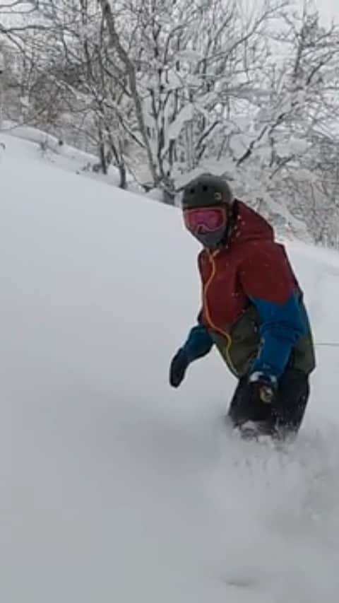星野リゾート　トマムのインスタグラム：「2021年1月6日、スキー場内の非圧雪エリアでパウダースノーを堪能できる上級者限定開放エリアがフルオープンしました。滑走前には、 冬山解放デスクで手続きを行い、安全に滑走するためのレクチャーを実施いたします。樹林帯で地形の起伏も豊かなため、ありのままの雪山を堪能できるエリ アです。舞い上がるパウダースノーに包まれながらのツリーランは、自然の 中を滑走する楽しさを味わえます。  Experts Only Powder Area A limited area where you can enjoy skiing outside the courses according to Tomamu's rules. A separate application beforehand or on the day is necessary for skiing the off-piste areas.  #HoshinoResorts #星野リゾート #tomamu #hoshinoresortstomamu #星野リゾートトマム #トマム #risonaretomamu #リゾナーレトマム #risonare #リゾナーレ #北海道旅行 #星野集團 #Hokkaidotrip」