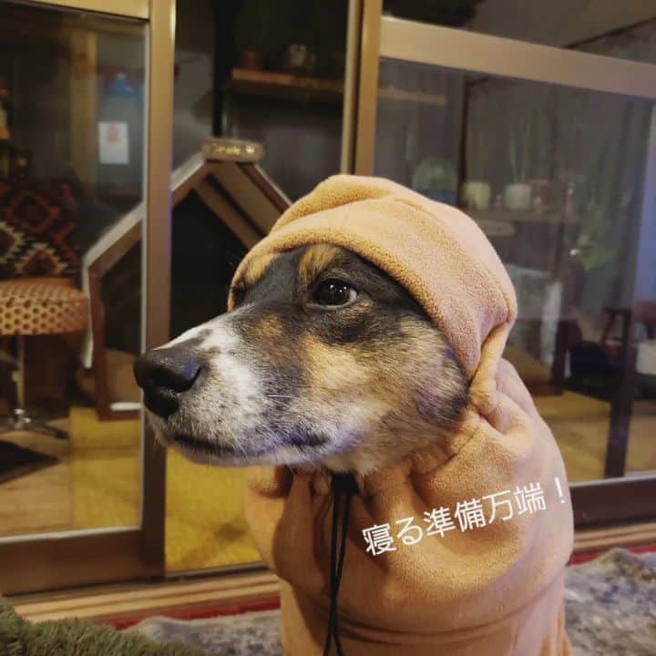 tamiのインスタグラム