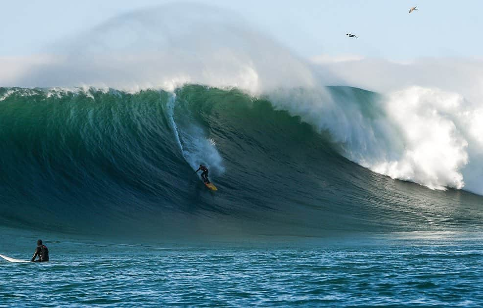 surflineさんのインスタグラム写真 - (surflineInstagram)「An hour or so ago, @peter_mel, who already snagged one of the best waves of the year at Maverick’s on December 8th -- and was towed into a bomb and then rescued by his son on Saturday -- just upped the ante. Again. This paddle-in wave with a chip-shot takeoff followed by a straight line through the bowl is next level big-wave surfing. Shows what decades of experience -- and sheer talent -- can do for a fella. In the channel, “ride of the year” and “wave of the decade” and “best wave ever at Mav’s” and “everyone is in shock” was thrown around. Check back shortly for video.  📷: @audrey_lambidakis」1月9日 9時56分 - surfline